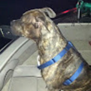 Meet your Posher, Michaelene